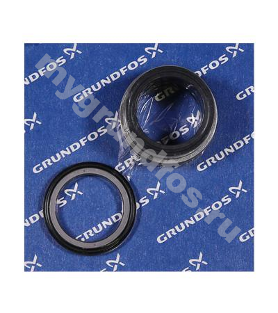Spare, shaft seal BQQE GG N D48