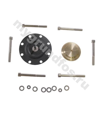 Kit,diaph DMX226-765  PTFE