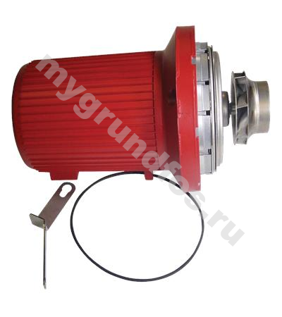 Pump head UPS65-120 1x230-240V