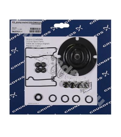 Kit, pump maint/220/DMX221-50/SS/V/SS