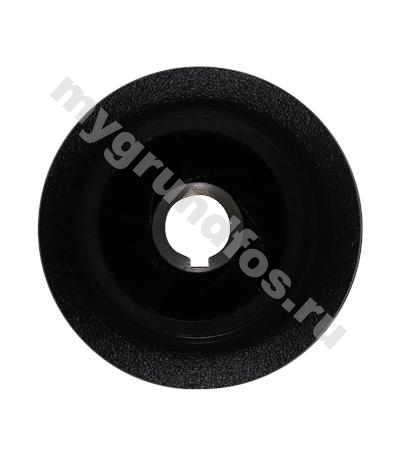 Spare,Impeller 32-125/113 CI