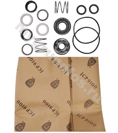 Kit,Shaft seal BBVP HS300-250-305