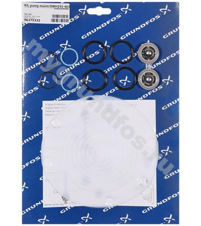 Kit, pump maint/DMH255-403/SS/V/SS