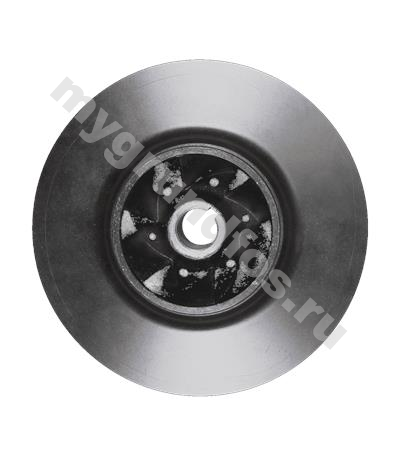 Spare,Impeller 65-250/100-65-250/254 CI