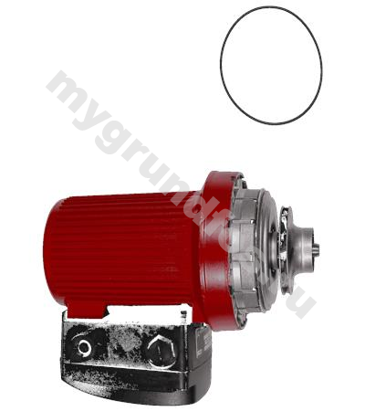 Pump head UPS32-160/2 3x575V 60Hz USA