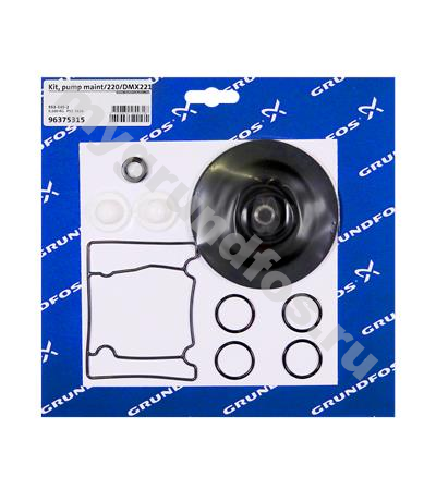Kit, pump maint/220/DMX221-75/PP/E/T