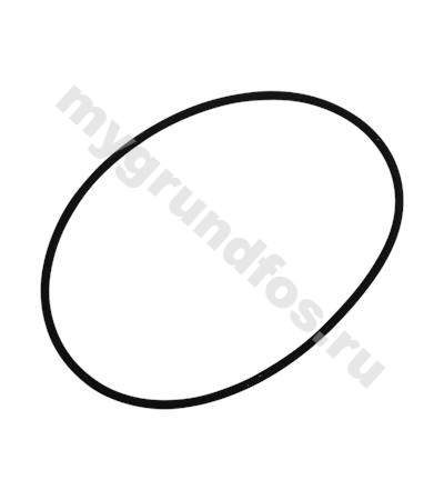 O-ring 100x3.00 FXM /spare