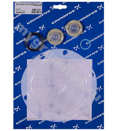 Kit, pump maint/DMH257-1150/PP/V/G