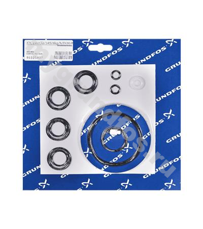 Kit, gas/Cl2/545/4kg/h/FKM/PTFE