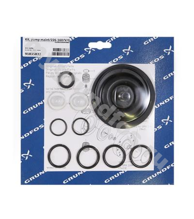 Kit, pump maint/226-160/V/G