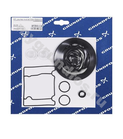 Kit, pump maint/220/DMX221-75/PP/V/G