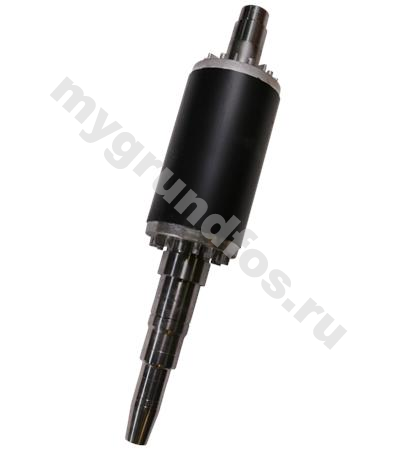 Kit,Shaft w.rotor 97529328 F52
