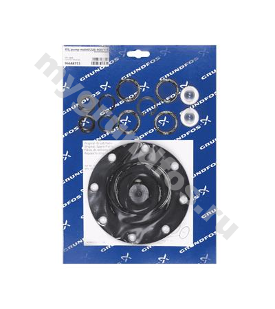 Kit, pump maint/226-400/V/G