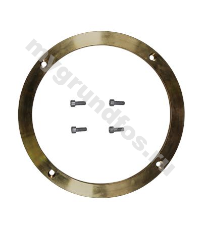 Kit, Wear Ring D250/D300x15 Brass