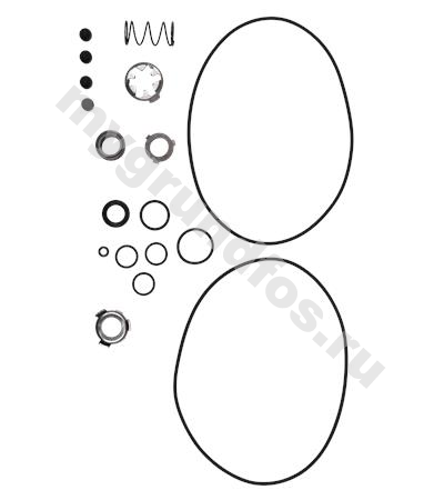 Kit, Shaft seal CRT8/16AUUV(Mfg>0404)