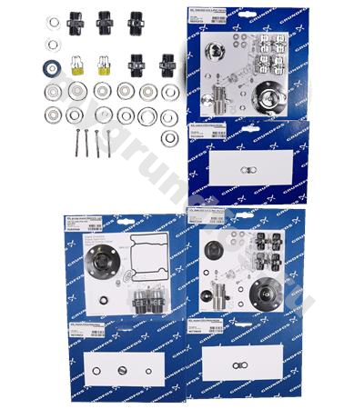 Kit, maint.ClO2/150g/h/<3bar/>Jan.04