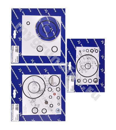 Kit, maint.Cl2/103/FKM/TFM1700/<2kg/h