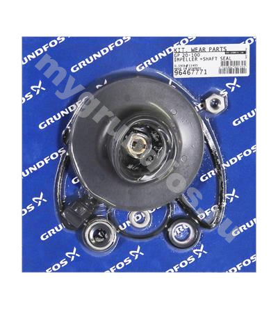 Kit, GP20-100 impeller +shaft seal