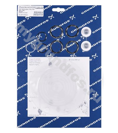 Kit,pump maint/DMH254-291/PVC,PP/V/G