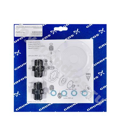 Kit, pump maint/DMH251/252/PVC/V/G