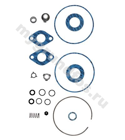 Kit, Shaft seal + gasket CR 2