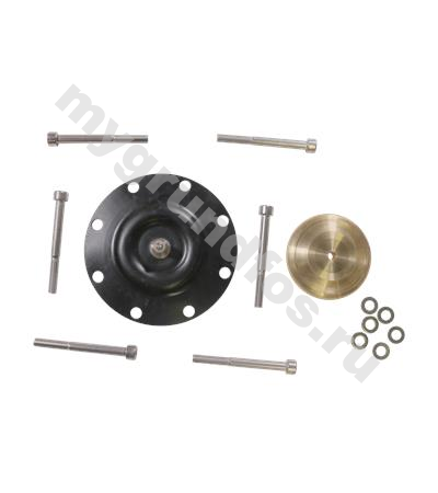 Kit,diaph DMX226-460  PTFE