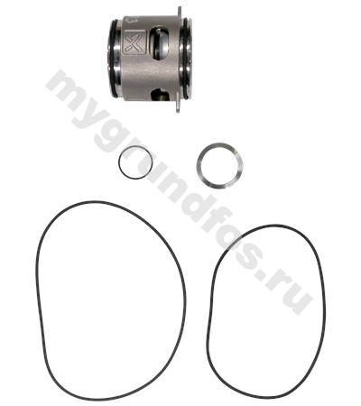 Kit, shaft seal C/D FKM