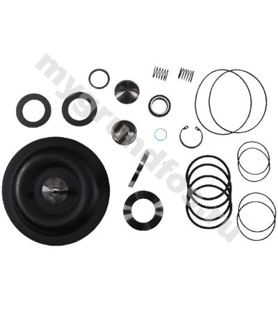 Kit, pump maint/DMX227-1120/SS/V