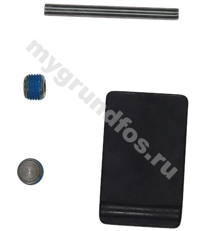 Kit,valve flap with guide pin UPSD40
