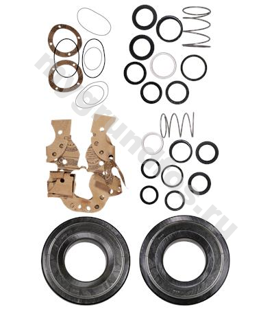 Kit,Shaft seal BBVP HS350-250-498