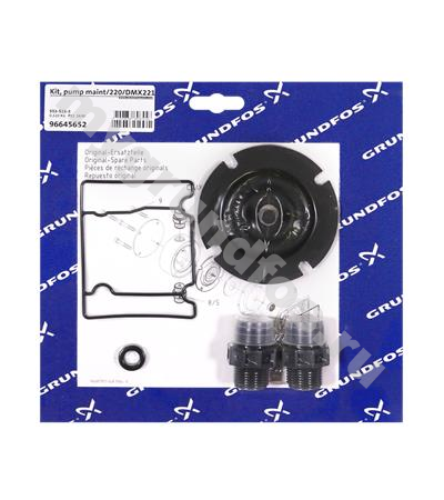 Kit, pump maint/220/DMX221-50/PVC/T/T