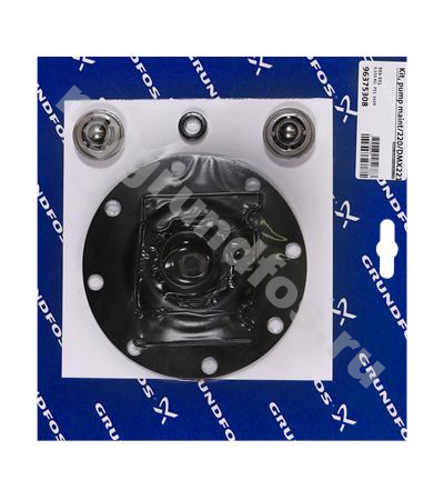 Kit, pump maint/220/DMX221-115/SS/V/SS