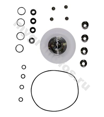 Kit, pump maint/DDI60-10/SS/T/SS