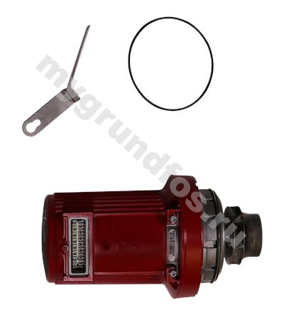 Pump head UPS50-80/2 1x230V 60Hz USA