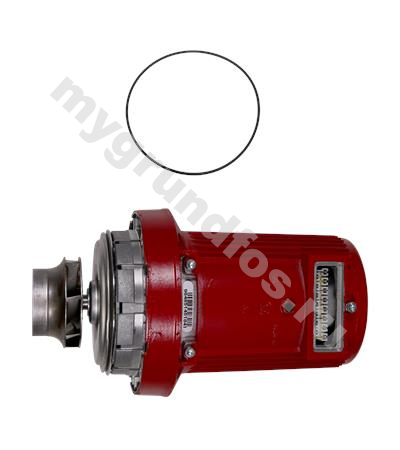 Pump head UPS50-80/2 3x208-230V 60Hz USA