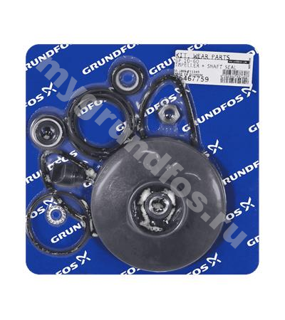 Kit, GP10-60 impeller + shaft seal