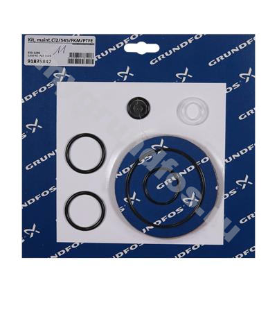 Kit, maint.Cl2/545/FKM/PTFE