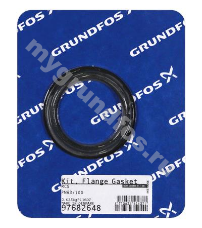 Kit, Flange gaskets RC5 PN63/100 - DIN