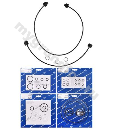 Kit, maint.Cl2/141/FKM/1-10kg/h/>J04