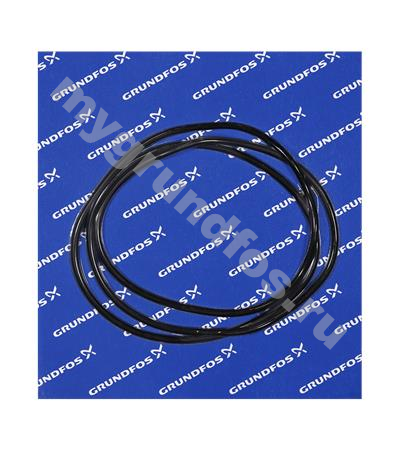 O-ring EPDM 548x6/spare