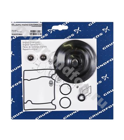 Kit, pump maint/220/DMX221-75/PVC/E/SS