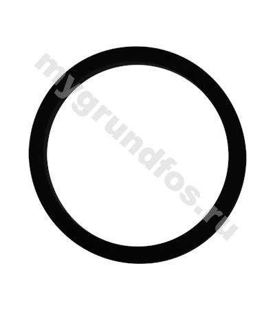 Rubber seal NDE-end Siemens 200