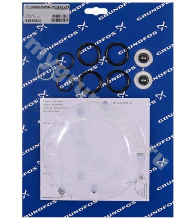 Kit, pump maint/DMH254-291/PVC/E/SS