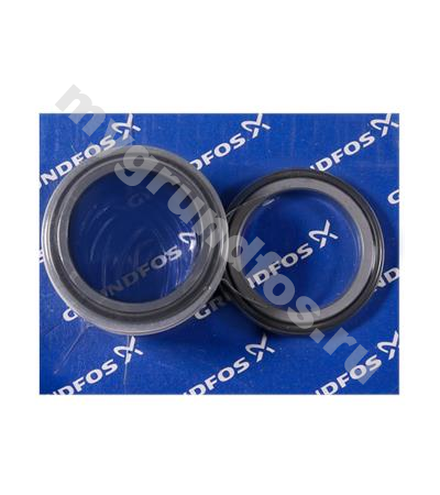 Shaft seal BAQV GG D55/spare