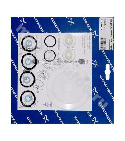 Kit, pump maint/DMH253100/PVC/V/C