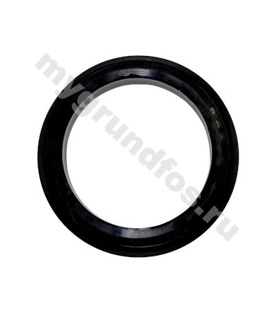 Spare, Smart seal f. autocoupl.DN100 FKM