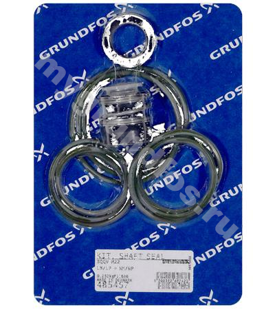 Kit, shaft seal LM/LP+NM/NP N22 BQQV