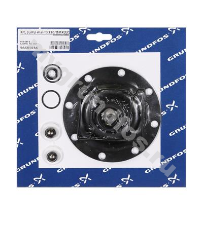 Kit, pump maint/220/DMX221-115/PVC/E/SS