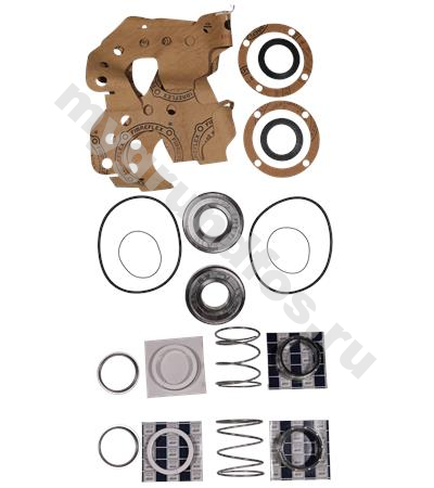 Kit,Shaft seal BBVP HS300-250-381