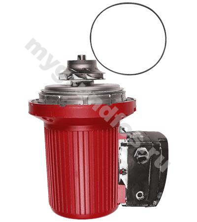 Pump head UPS50-160/2 3x460V 60Hz USA
